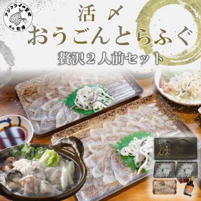 ふるさと納税 松浦市 【2025年4月上旬発送】活〆おうごんとらふぐ贅沢2人前セット | 