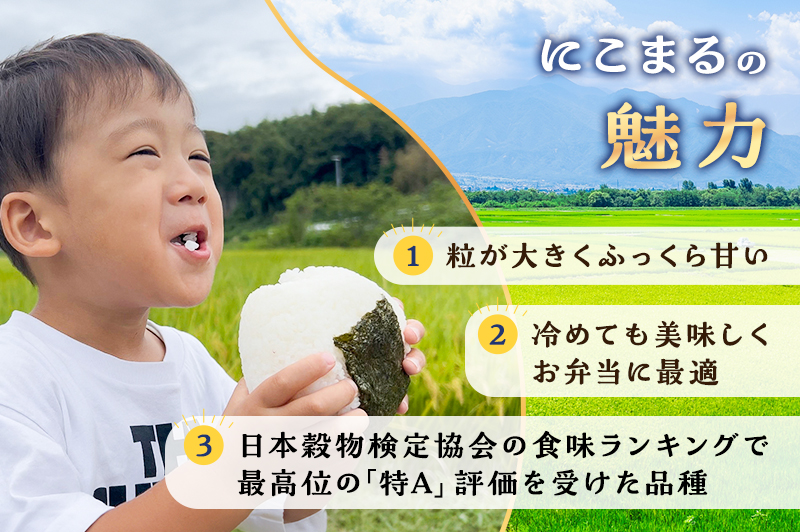 お米 令和7年度産静岡産にこまる精米5kg×2 米 コメ にこまる 精米 白米 袋井市 静岡県