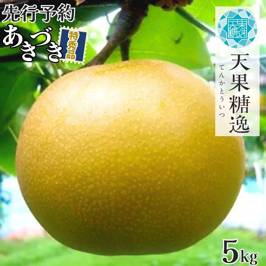 【ふるさと納税】先行予約 和梨 あきづき 特秀品 約5kg 糖度13度以上を厳選 令和8年度 新潟県産 天果糖逸 [JAえちご中越]【013S063】