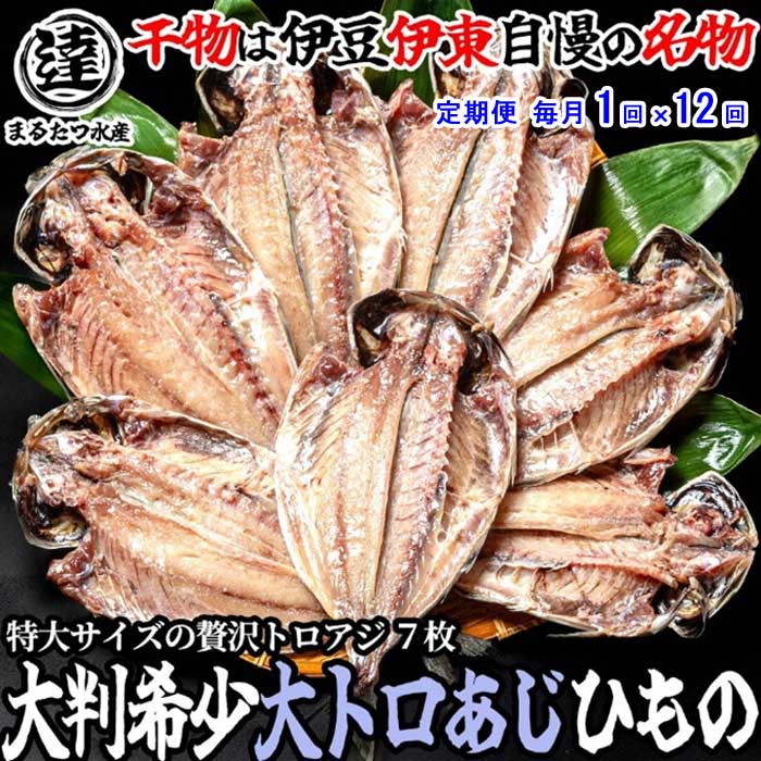 W12【ふるさと納税】【定期便 全12回】伊豆・伊東 丸達水産 脂の乗りが違う！絶品とろあじ7枚セット 毎月1回×12回