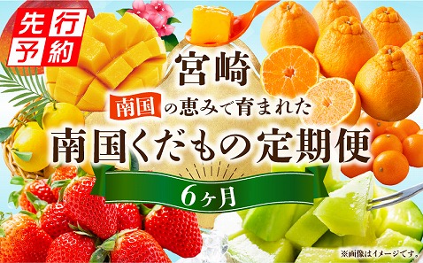 《2026年発送先行予約》南国くだもの6ヶ月定期便_M348-T003