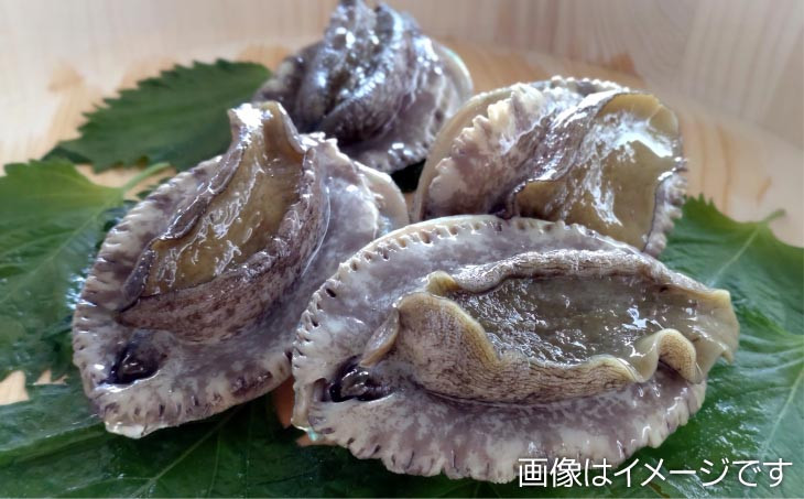 養殖”活”エゾアワビ2個 約150g