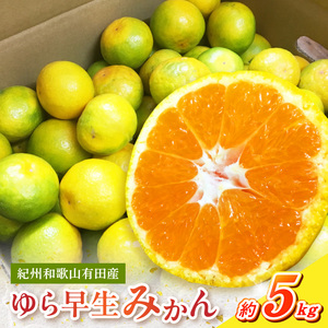 紀州和歌山有田産 ゆら早生みかん 5kg【ミカン 蜜柑 柑橘 温州みかん わせみかん】_G7097