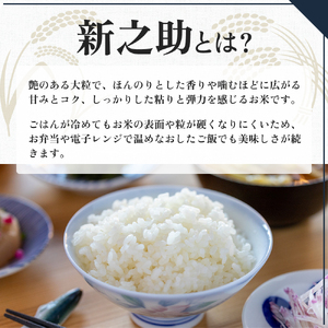 【令和5年産】魚沼産　新之助　10kg(5kg×2袋)