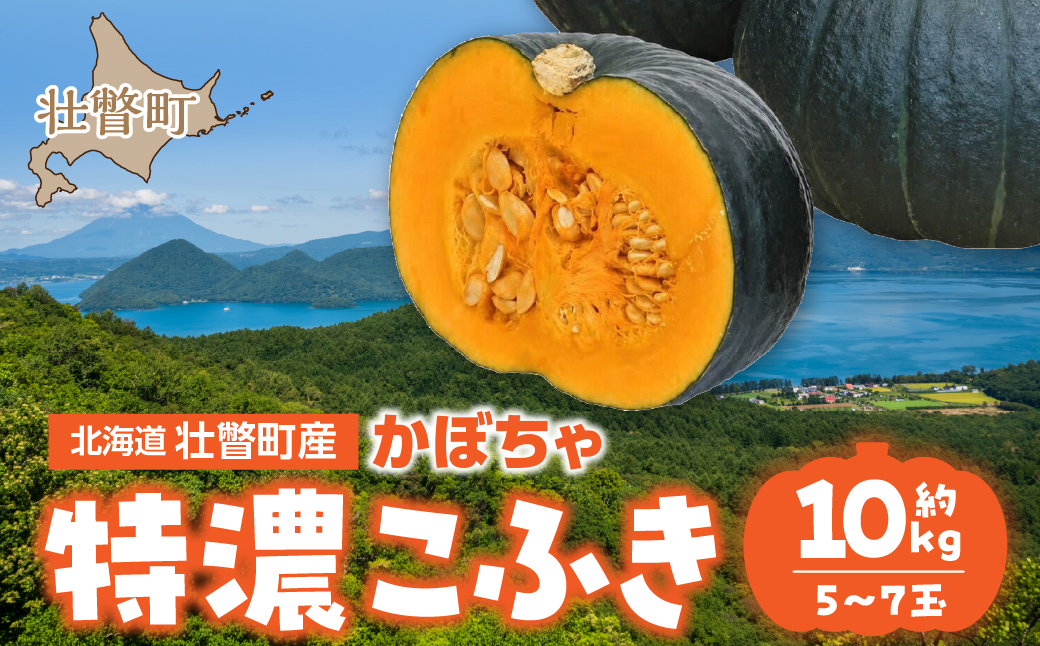 〈10月上旬よりお届け〉北海道壮瞥町産 かぼちゃ 特濃こふき5〜7玉 約10kg SBTL019