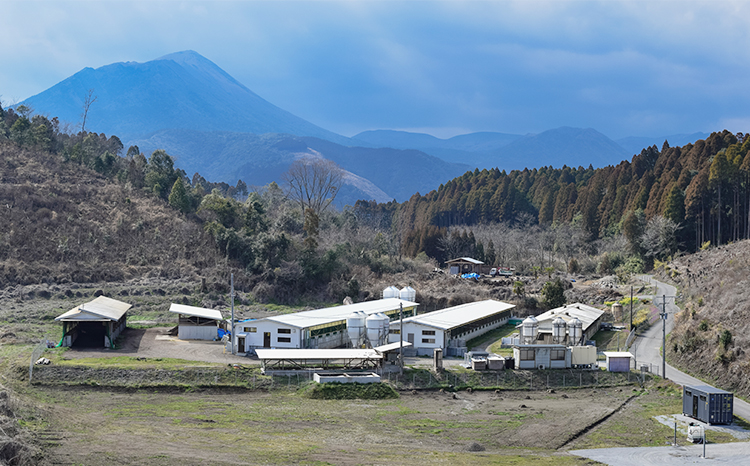 曽山養豚の宮崎県産豚肉落とし2kg(500g×4p)TF0826-P00078 [TF826]
