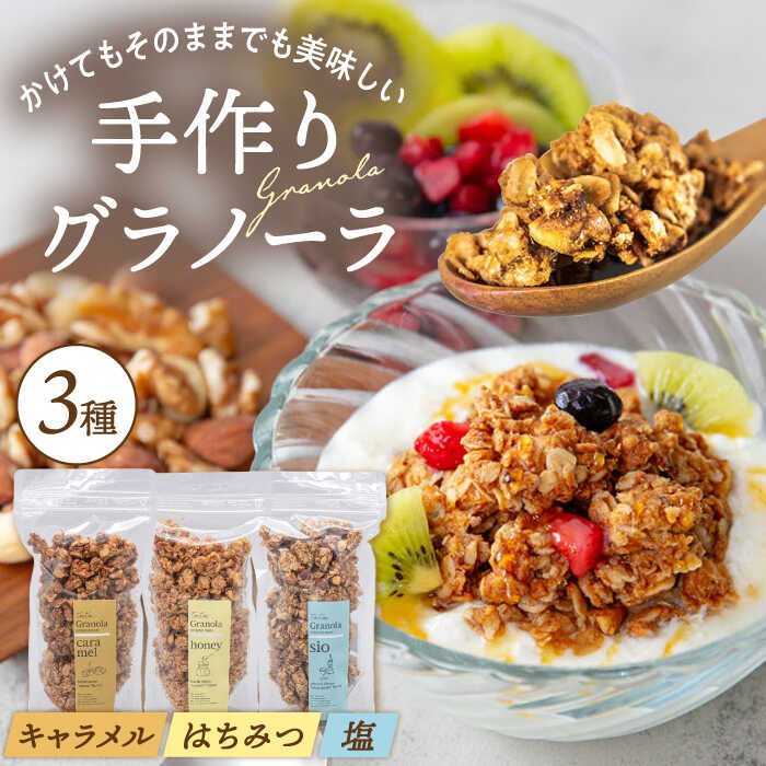 【ふるさと納税】【お中元対象】ケーキ屋さんの手作り グラノーラ 3種 （キャラメル・はちみつ・塩）200g×3袋 食べ比べ セット ▼おすすめおつまみ おやつ 小分け 焼菓子 焼き菓子 桂川町/order made cake Toi Toi[ADAW001] 10000 10000円