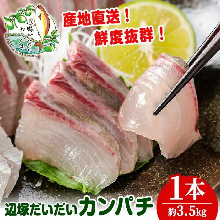 カンパチ 鮮魚 約3.5kg 1本 産地直送 鮮魚BOX【高山漁業協同組合】B08002