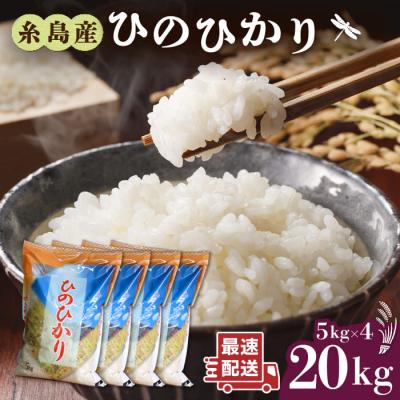 ふるさと納税 糸島市 糸島産 ひのひかり 20kg 糸島市/ 三島商店[AIM075]
