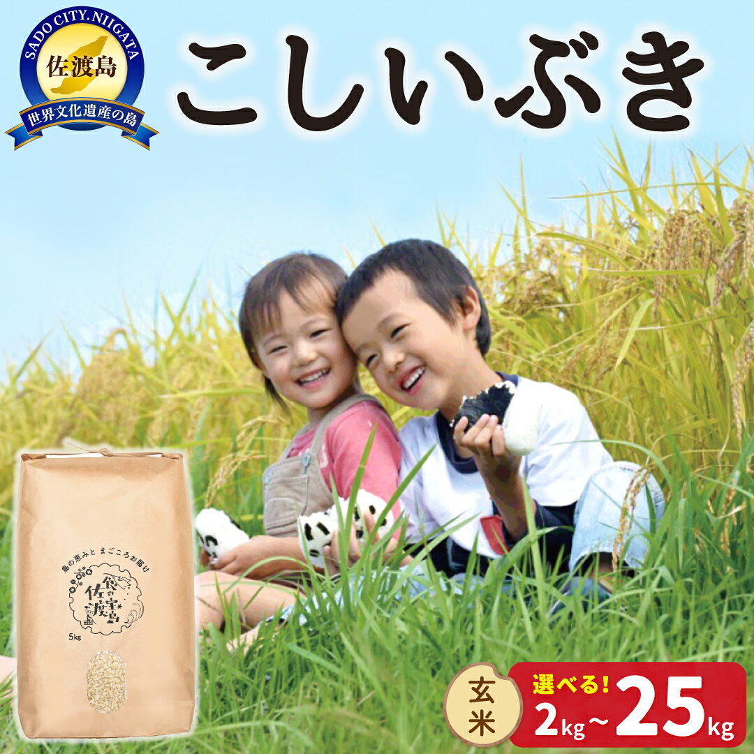 【ふるさと納税】 玄米 こしいぶき 2kg 4kg 5kg 10kg 15kg 20kg 25kg 選べる 令和8年産 佐渡島産 あっさり チャーハン 丼 おにぎり 米 新潟県 佐渡市