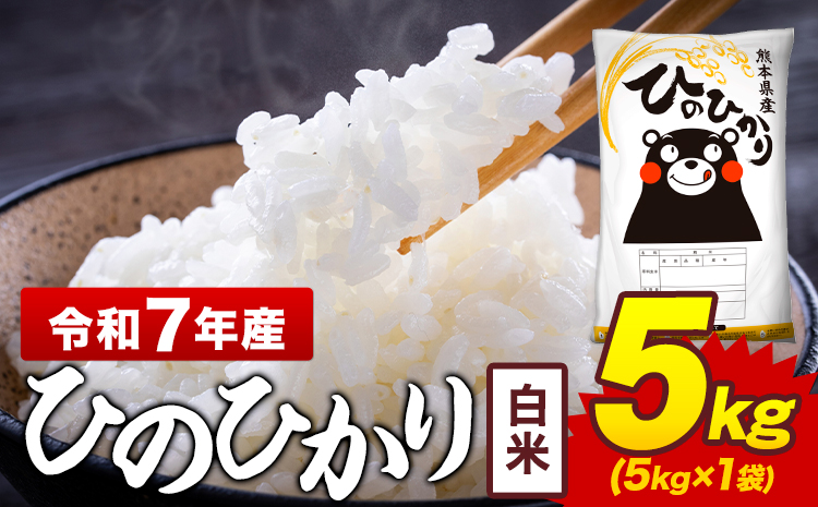 令和7年産 白米 米 ひのひかり 5kg《7-14日以内に出荷予定(土日祝除く)》熊本県 菊池市 国産 熊本県産 白米 精米 送料無料 ヒノヒカリ こめ お米 ---300-5062---