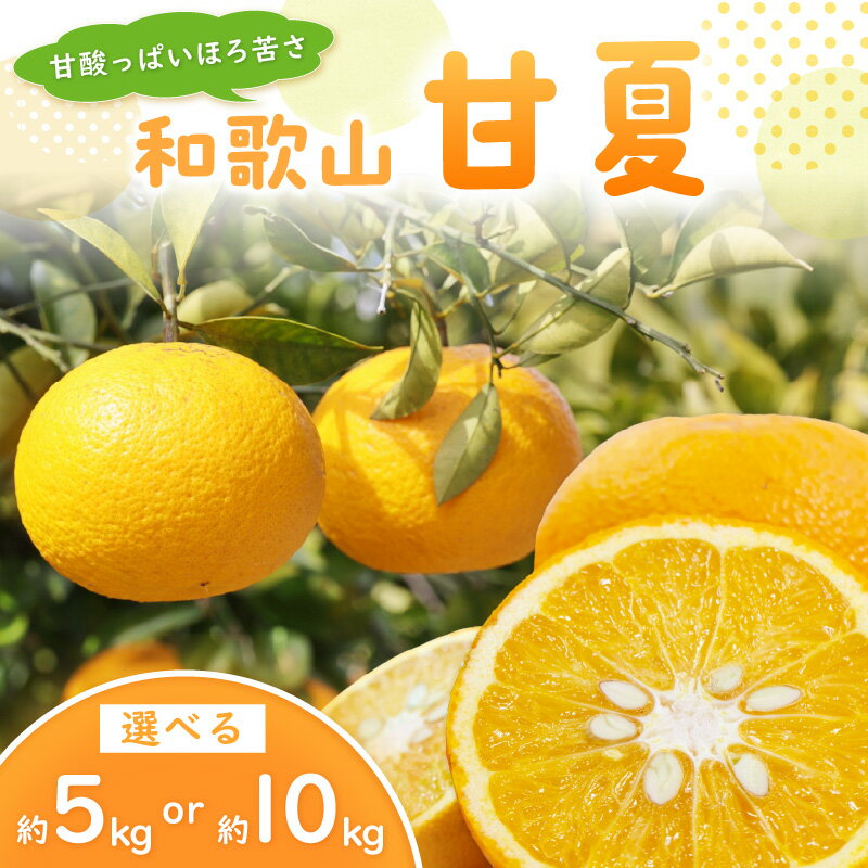 【ふるさと納税】甘酸っぱいほろ苦さ　和歌山甘夏 約5kg～約10kg ≪先行予約2026年3月頃より順次発送分≫ 5kg 10kg みかん 蜜柑 柑橘 甘夏 あまなつ フルーツ 果物 デザート 和歌山