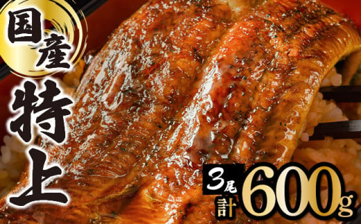 ≪2025年5月以降発送≫【数量限定】『国産』うなぎ蒲焼 3尾 計600g※一部配送不可地域あり