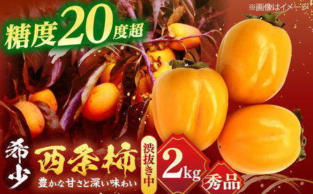 柿 【先行予約】【10個限定】【秀品】 とろ〜り甘さの極み！合わせ柿 2kg(8玉〜12玉) 島根県松江市/マルカミ農縁株式会社 [ALCM005] 柿 柿