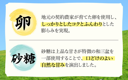 竹内菓子舗 竹内菓子舗 4代目と喧嘩しても作りたかった5代目の米粉カステラ 15個入り [A-203005] / カステラ かすてら 菓子 和菓子 銘菓 個包装 ギフト プレゼント 上質 しっとり 優