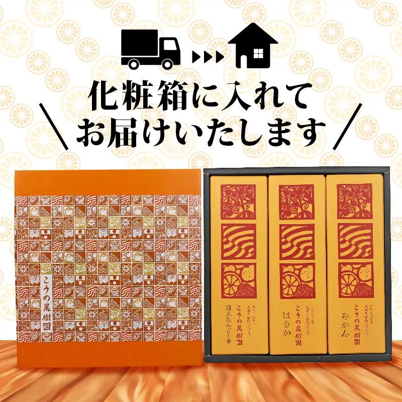 完熟 みかんジュース 化粧箱入り 木成り 1000ml×3本 こうの果樹園 みかんｼﾞｭｰｽみかんｼﾞｭｰｽみかんｼﾞｭｰｽ H020-182002