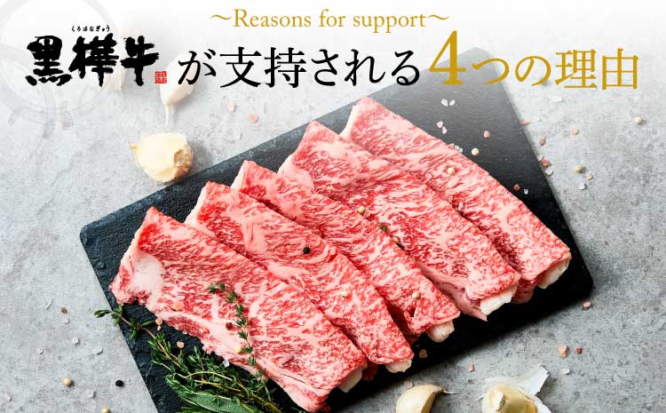 九州産黒毛和牛 杉本本店 黒樺牛 A4〜A5等級 肩ローススライス 350g×2 計700g