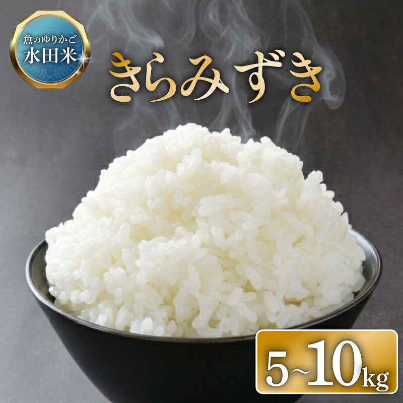 【ふるさと納税】 令和7年産 環境こだわり農産物認証！ きらみずき 選べる容量 5kg 10kg 白米 米 コメ お米 ご飯 ごはん 5kg 10kg 5 10 令和7年 7年 順次発送 滋賀 彦根