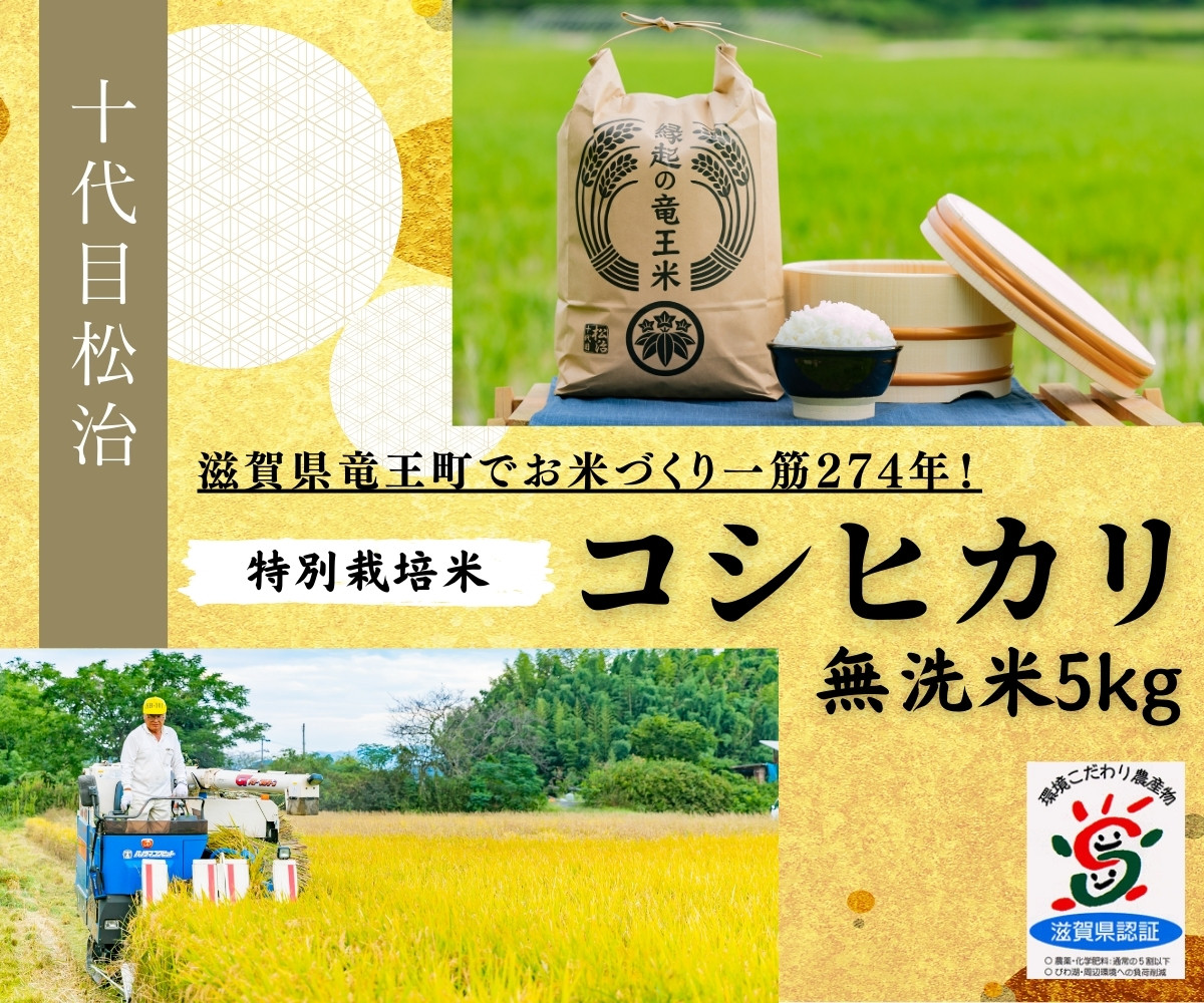 
            新米 コシヒカリ 無洗米 5kg 縁起の竜王米 ( 令和7年産 先行予約 新米 無洗米 5kg おこめ ごはん 米 特別栽培米 ブランド米 ライス こだわり米 ギフト 国産 滋賀県竜王町 )
          