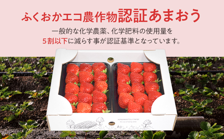 ふくおかエコ農作物認証あまおう 2Lサイズ 2箱セット あまおう イチゴ 苺 いちご フルーツ 果物 くだもの 福岡県産 お取り寄せグルメ お取り寄せ 福岡 お土産 九州 福岡土産 取り寄せ グルメ 