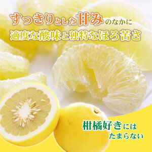 【先行予約】土佐文旦 訳あり 10kg (M～5L) 文旦[BQAE032]