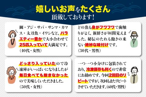 【訳あり干物】たっぷり25点以上！おざきのひもの「おまかせスペシャルセット」【ご好評につき再販決定】 【冷蔵】