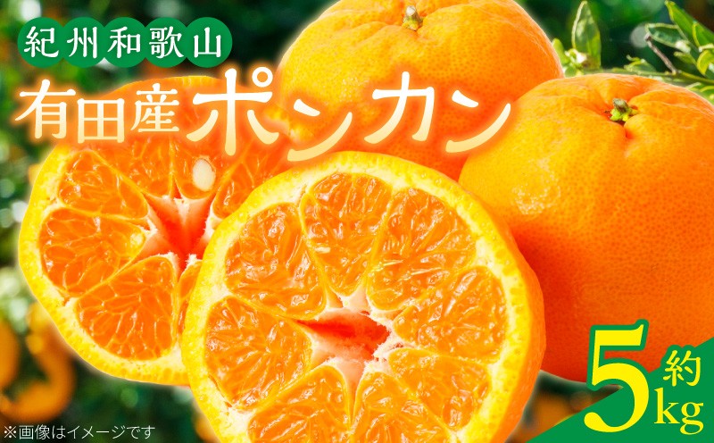 
                  【2027年先行予約】紀州和歌山有田産 ポンカン 約5kg【ミカン 蜜柑 春みかん 柑橘 和歌山 有田 ぽんかん】_G7055
                