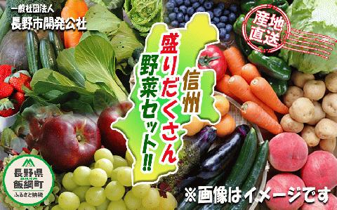 産地直送 新鮮 野菜 信州 盛りだくさん 野菜セット 長野市開発公社 沖縄県への配送不可 2023年4月上旬頃から2023年12月下旬頃まで順次発送予定 長野県 飯綱町 [1182]