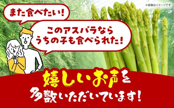 食品 野菜 アスパラ アスパラガス あすぱら あすぱらがす 佐賀県 佐賀 国産