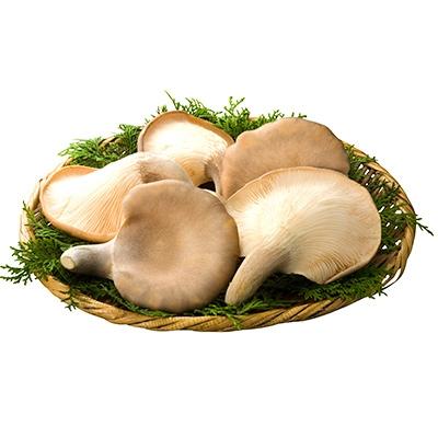 ふるさと納税 竜王町 滋賀県竜王町産ヘルシーきのこ「足太あわび茸」の山椒煮と昆布煮の【佃煮6袋セット】箱入り |  | 01