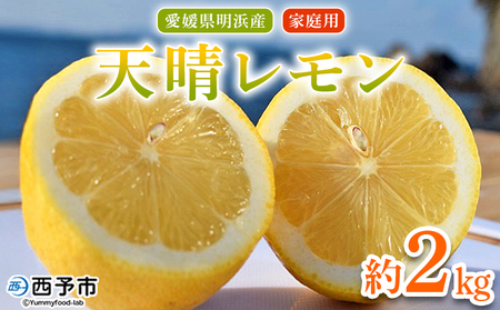 【先行予約】＜天晴レモン ご家庭用 約2kg＞ フルーツ 果物 くだもの レモン れもん 檸檬 柑橘 訳あり わけあり ワケアリ 自宅用 料理 国産 国産レモン 愛媛県産 特産品 株式会社笑丸 愛媛県 西予市【常温】『2026年9月から順次出荷予定』AAN0043