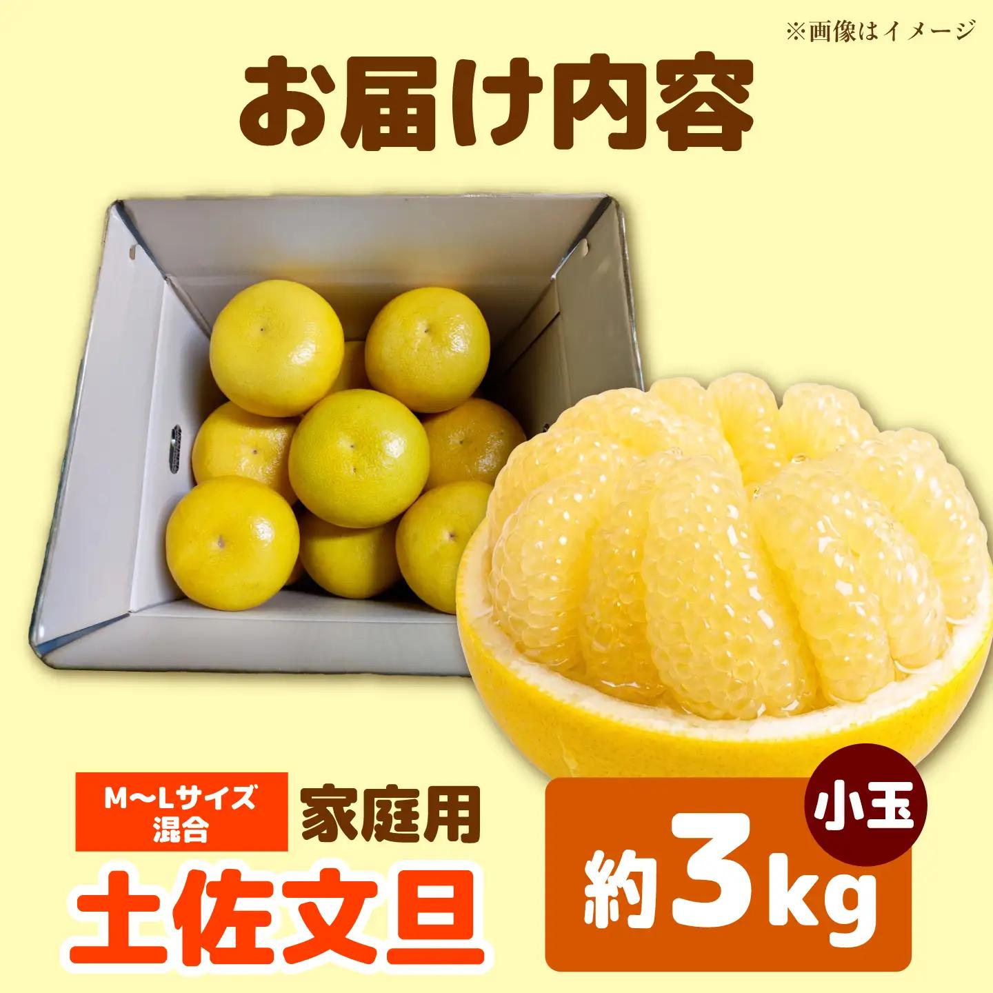 【先行予約】土佐文旦 小玉 家庭用 約3kg （M-L：7-9玉入り） 文旦 ぶんたん ブンタン 柑橘 フルーツ デザート 果物 ご当地 人気 名産＜2027年1月下旬から順次発送＞【玉木農園】 [B