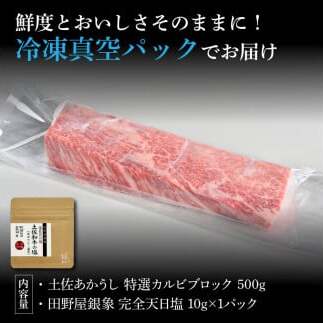 特選 カルビブロック 土佐あかうし 長期熟成肉 500g 田野屋銀象 完全天日塩付き カルビ 牛肉 ブロック 肉 お肉 和牛 国産 牛 熟成肉 ブロック肉 豪華 贅沢 真空パック 冷凍配送_イメージ5