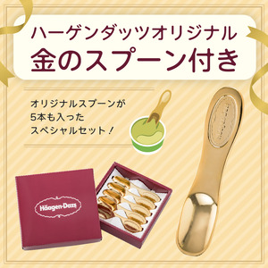 スタンダードセット／ハーゲンダッツ