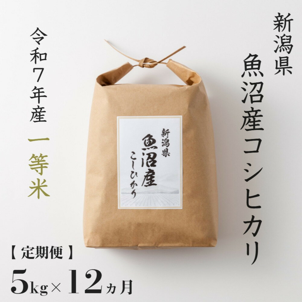 【ふるさと納税】《 令和7年産 》 定期便 5kg × 12ヶ月 魚沼産コシヒカリ 一等米