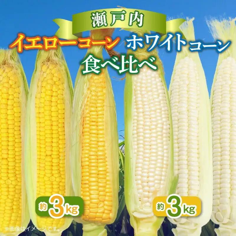 瀬戸内ホワイトコーン・イエローコーン食べ比べ 各約3kg【2026-6月中旬～2026-7月中旬配送】| コーン