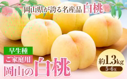 【令和8年度先行予約】ご家庭用 岡山の白桃 （早生種） 約1.3kg 晴れの国 おかやま館(つむぐ株式会社) 《2026年6月下旬-7月中旬頃出荷》岡山県 浅口市 白桃 桃 果物【配送不可地域あり】（離島） st-p