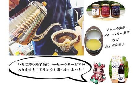 いちご狩り4名用チケット 体験チケット フルーツ狩り 親子 子連れ ファミリー 食べ比べ お出かけ 