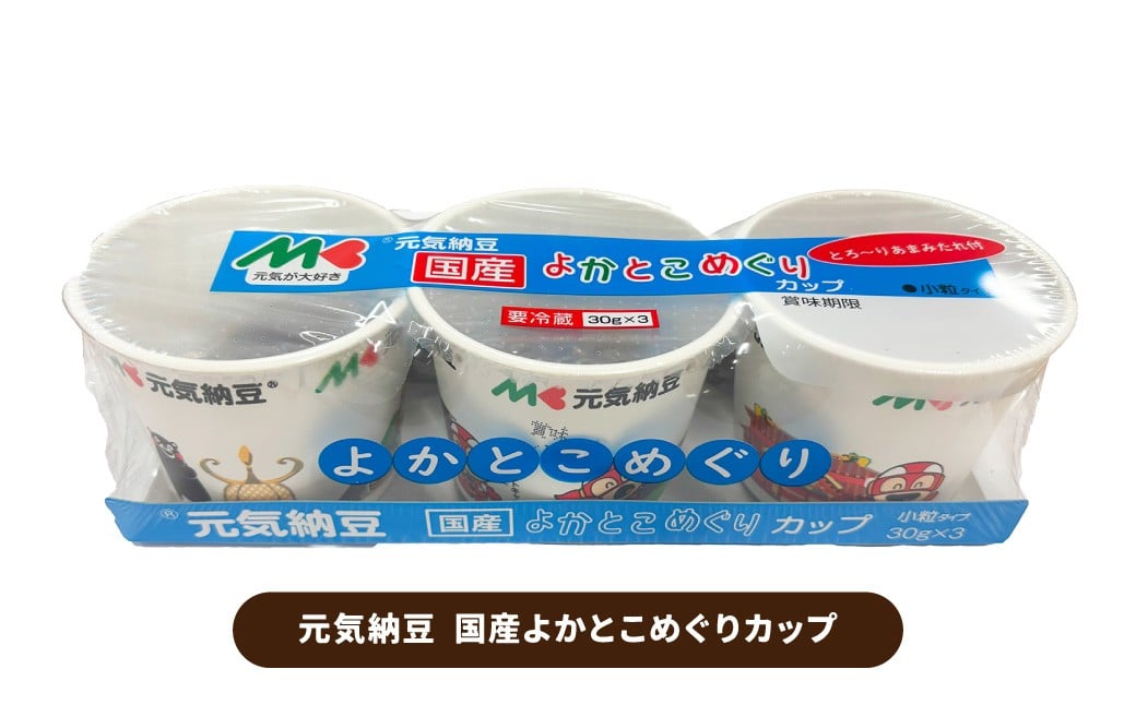 熊本からお届け！マルキン食品元気セット【冷蔵】