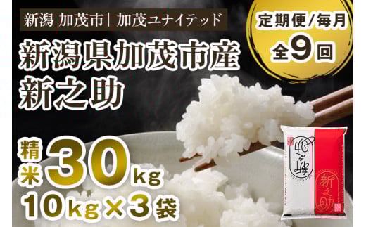 【令和7年産】【定期便9ヶ月毎月お届け】新潟県産 新之助 精米30kg 《10kg×3袋》《順次発送》 新潟 ブランド米 加茂市 加茂ユナイテッド