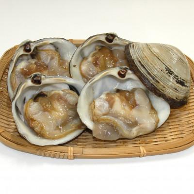 ふるさと納税 三沢市 砂取りホッキ貝(加熱用)　10個(5入×2袋)