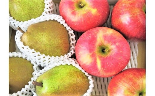 【２０２６年１月から発送】ラ・フランスとサンふじりんご詰合せ　３ｋｇ　ご家庭用　0075-2512