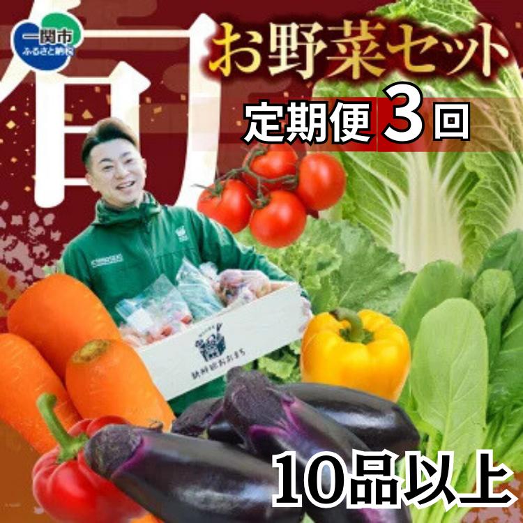 【定期便/3か月】注文が来てから農家さんに連絡！ 収穫したばかりの新鮮野菜セット《10点以上保証付き！！》