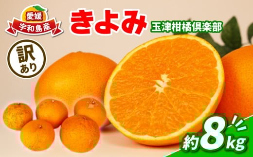 訳あり 清見 きよみ 8kg 玉津柑橘倶楽部 みかん タンゴール 清見タンゴール オレンジ 清見オレンジ 甘い 果物 くだもの フルーツ 柑橘 みかん mikan 蜜柑 愛媛蜜柑 愛媛みかん 愛媛ミカン ミカン 訳アリ 訳あり品 訳有り わけあり 産地直送 数量限定 国産 愛媛 宇和島 B010-072033