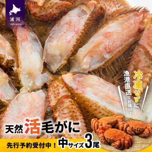 【先行受付開始！】漁協の活毛がに 中サイズ３尾セット※日付指定対応不可※[02-176]