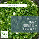 【ふるさと納税】野菜 カット ねぎ 3kg（1kg×3袋）長ネギ 配送不可エリア有り　【野菜・ねぎ】