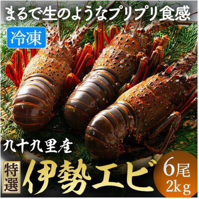 【ふるさと納税】 伊勢海老 リキッド凍結伊勢海老 刺身用 6尾 約2kg 九十九里 新鮮 刺し身 刺身 さしみ 真空 冷凍 旨味 甘み 鮮度 美味しい 贅沢 ご褒美 豪華 ギフト プレゼント 贈答 贈答用 記念日 家族 友人 パーティー 不動丸 千葉県 旭市
