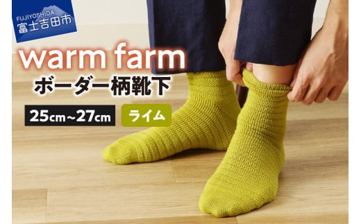 光吸収発熱ウール「ウォームファーム ボーダー柄靴下」（ライム）