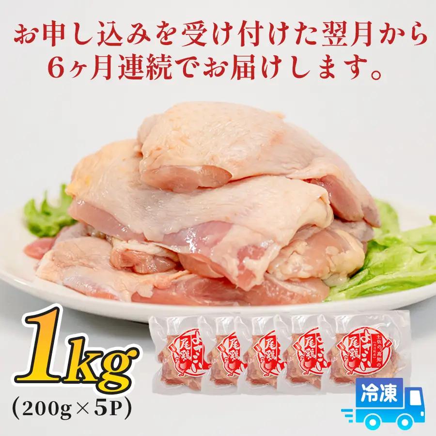 鶏肉 もも肉 1kg 定期便 6回 （1kg×6回） 鶏もも モモ肉 チキン 切り身 若鶏 小分け