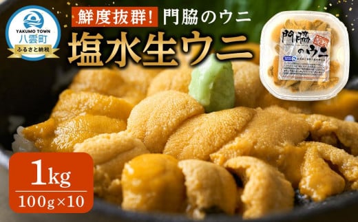 【先行予約】鮮度抜群！「門脇のウニ」北海道産 塩水生ウニ 10パック(1パック100g入り)  (2025年5月中旬発送開始予定)【 ウニ うに 雲丹 生ウニ 海産物 魚介 魚介類 食品 グルメ お取り寄せ お取り寄せグルメ 八雲町 北海道 】